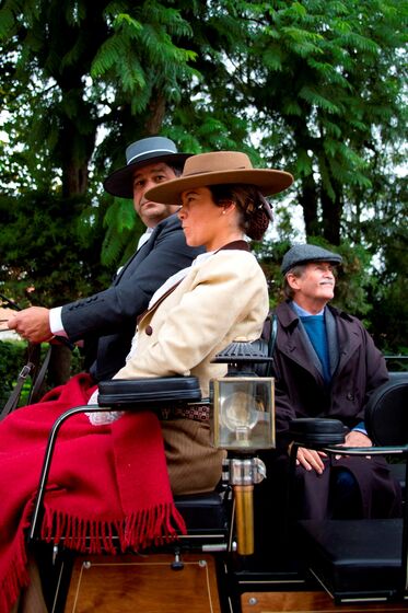 D. Duarte de Bragança, duarte Pio, Feira da Golegã, feira do cavalo, cavalo lusitano