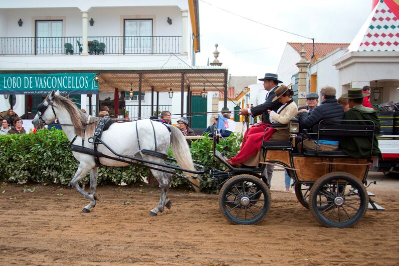 D. Duarte de Bragança, duarte Pio, Feira da Golegã, feira do cavalo, cavalo lusitano