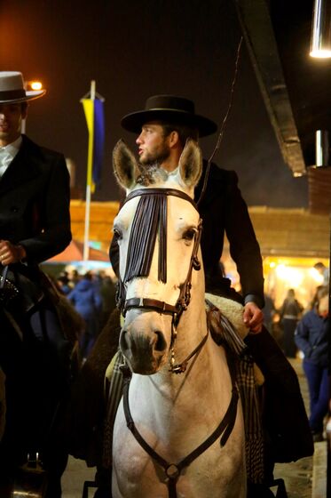 D. Duarte de Bragança, duarte Pio, Feira da Golegã, feira do cavalo, cavalo lusitano