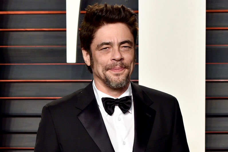  Benicio del Toro