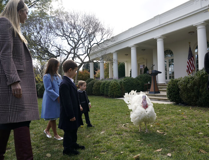 Donal Trump thanksgiving