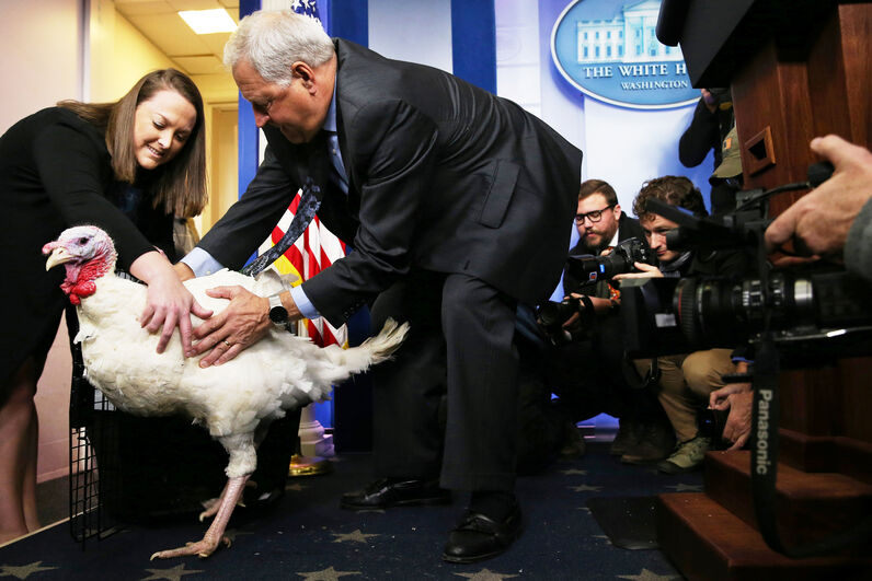 Donal Trump thanksgiving