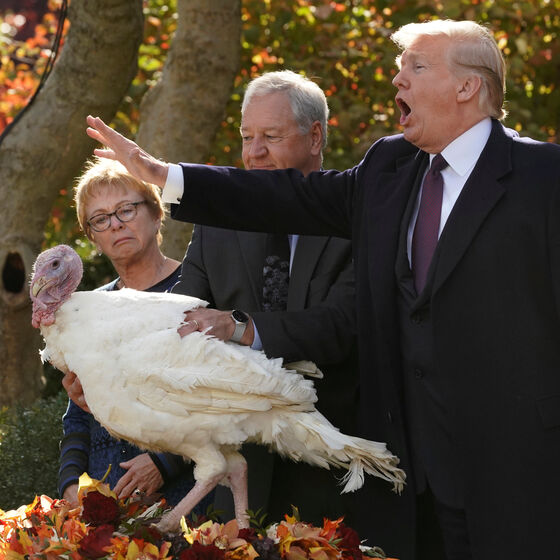 Donal Trump thanksgiving