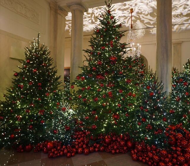 Melania Trump, Natal