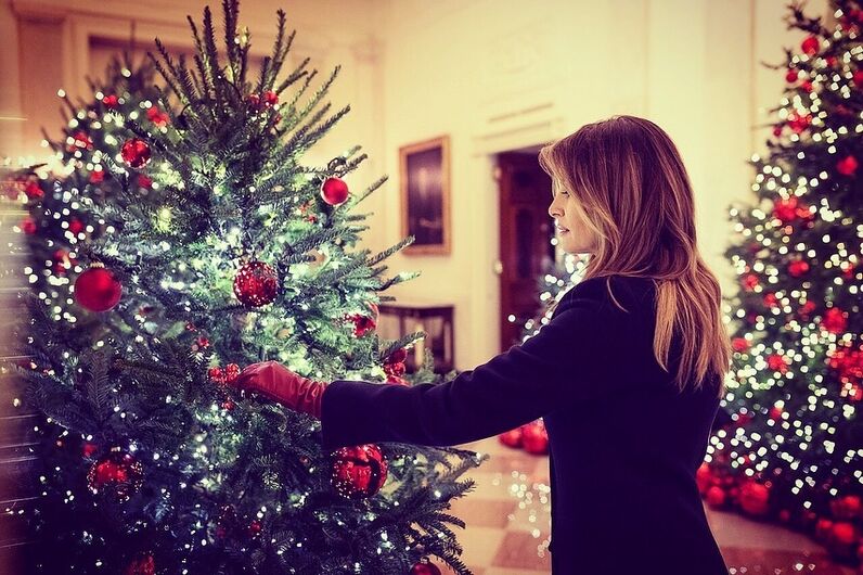 Melania Trump, Natal