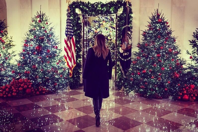 Melania Trump, Natal