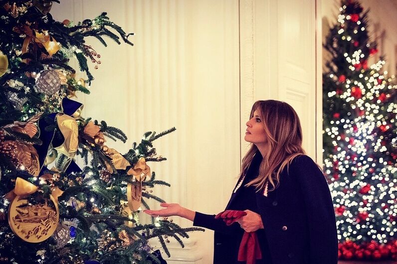 Melania Trump, Natal