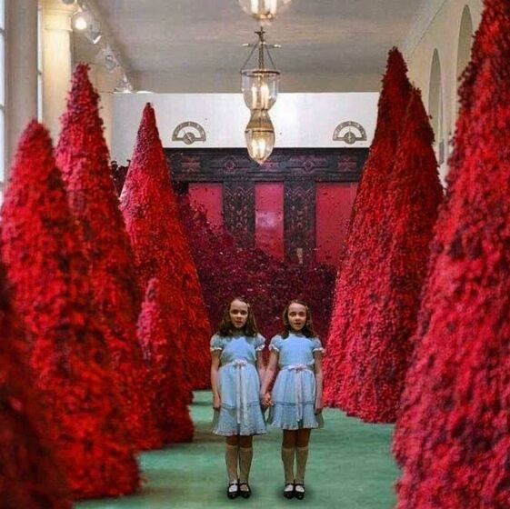 Melania Trump, Natal