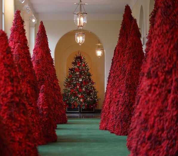 Melania Trump, Natal