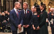 William e Kate, Meghan e Harry