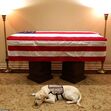 Sully, George Bush