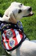 Sully, George Bush