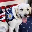 Sully, George Bush