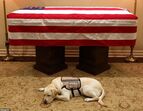 Sully, George Bush