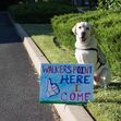 Sully, George Bush