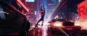 Homem-Aranha: No Universo Aranha