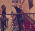 trump, natal