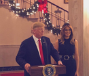 trump, natal