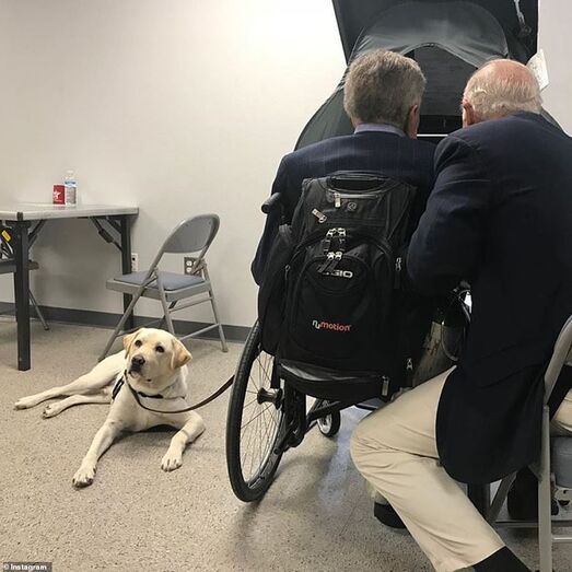 Sully, George Bush