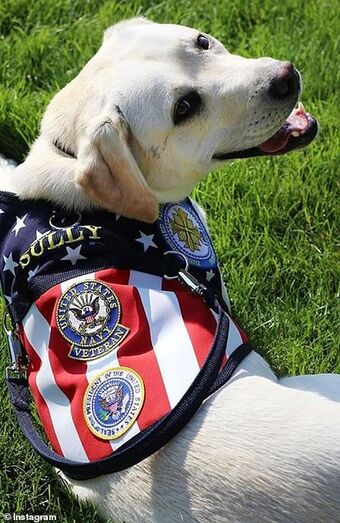 Sully, George Bush