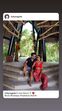 claudia diniz, ricardo regufe