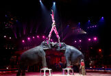 Circo de Monte Carlo 