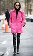 Pink Peacock