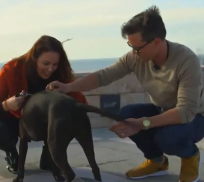 E não é que ficaram juntos? Irmão de Dave de 'Casados' apaixonou-se mesmo no 'Carro do Amor'