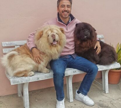 'Casados': Afinal ele está vivo! João desvenda o que aconteceu a Hugo desde que este desapareceu