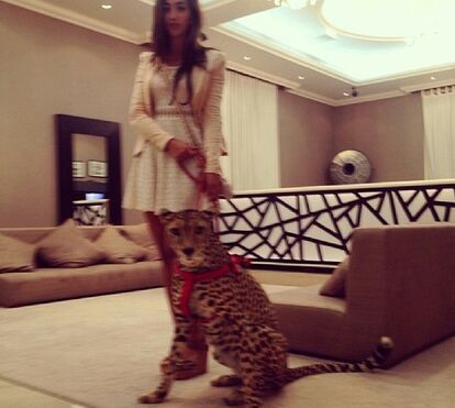 Jatos privados, mulheres deslumbrantes e tigres de estimação. A vida louca dos jovens milionários do Dubai
