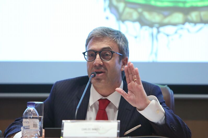 Carlos Daniel, jornalista, RTP, FPF