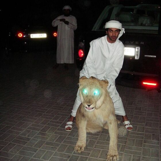 Ricos, Dubai