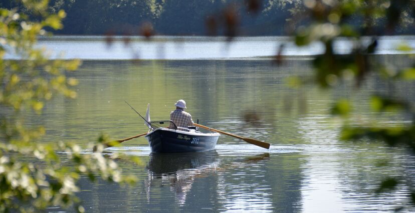 barco a remos, lago, tranquilidade, homem