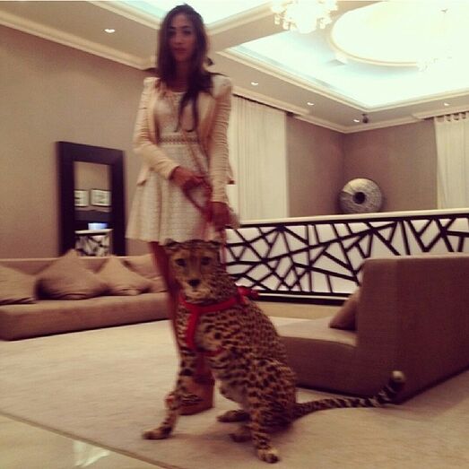 Ricos, Dubai