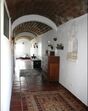 sofia fava, tarola palace, socrates