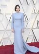oscares, red carpet