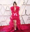 oscares, red carpet