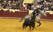 Rui Salvador, cavaleiro, toureiro, tourada, campo pequeno, colhida, lisboa, toiro