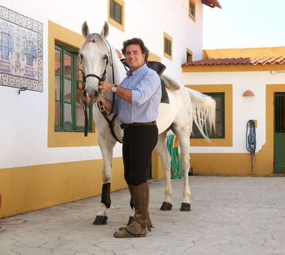 Cavaleiro Rui Salvador sofre colhida violenta no Campo Pequeno 