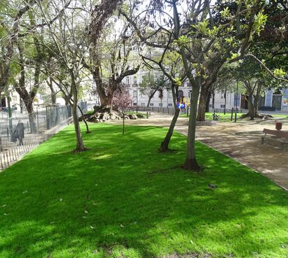 Enquanto a primavera não chega 