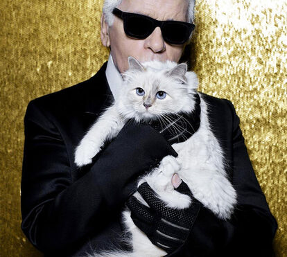 Karl Lagerfeld; herdeiros continuam em guerra pela herança colossal. Só a gata Choupette vive à grande!