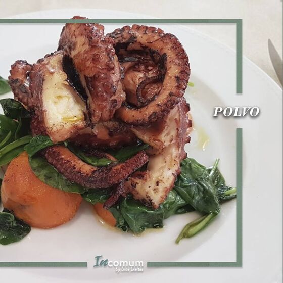 Polvo, incomum by luís santos