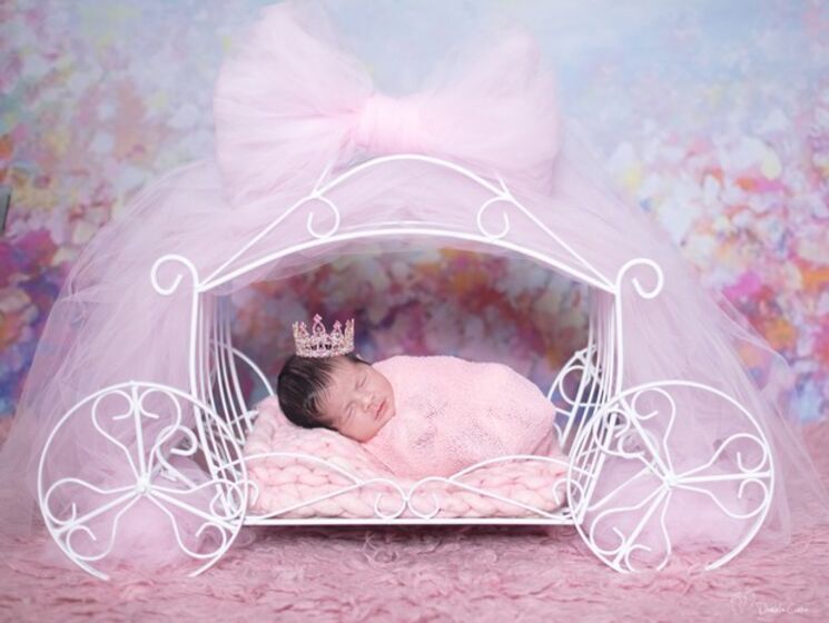 Fabi Frota, Alexandre Frota