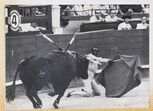 Ricardo Chibanga, toureiro, moçambique, avc, matador de toiros