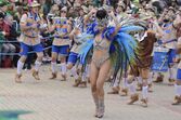 carnaval, entrudo, estarreja