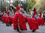 carnaval, entrudo, Ovar