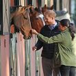 Meghan Markle, Príncipe Harry