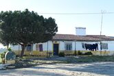 quem quer namorar com o agricultor, joão neves, alentejo