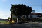 quem quer namorar com o agricultor, joão neves, alentejo