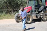 quem quer casar com o agricultor, SIC, João Menezes